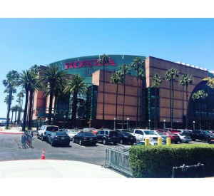 Arena
